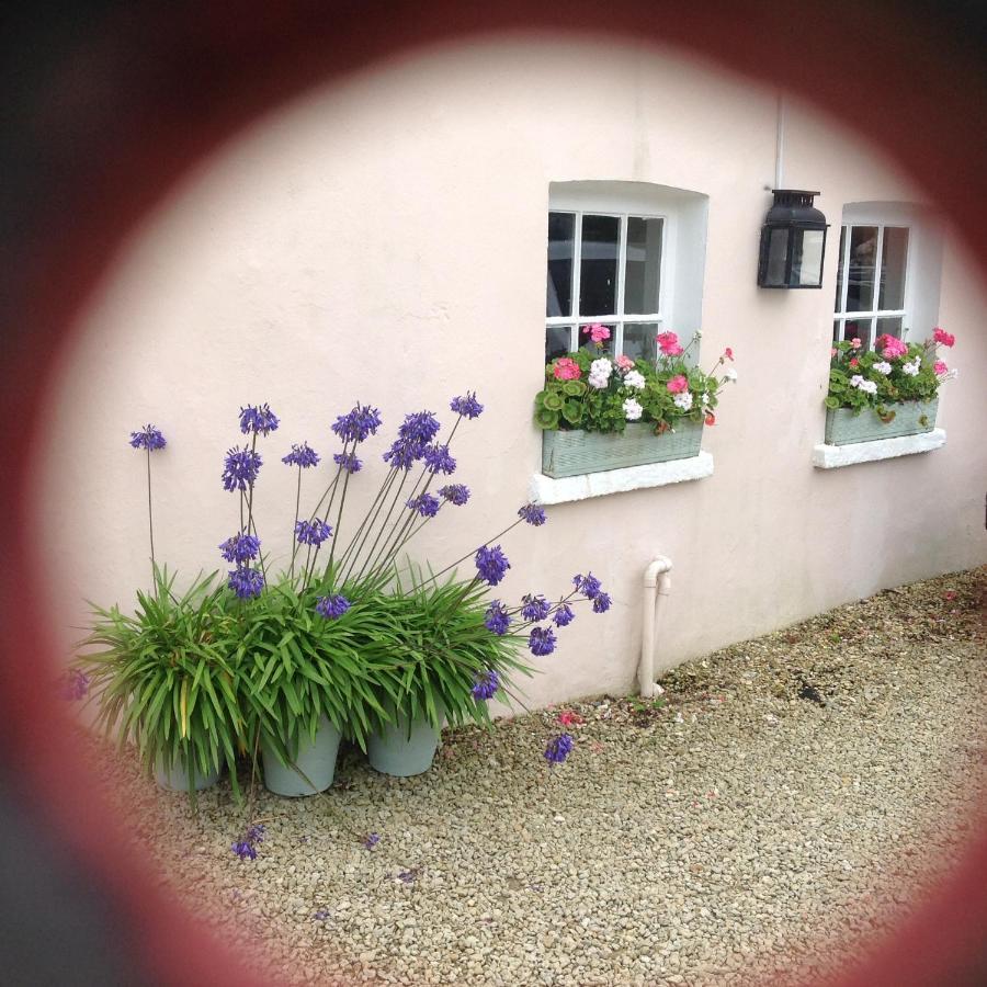 Newton Cottage Porthcawl Zewnętrze zdjęcie