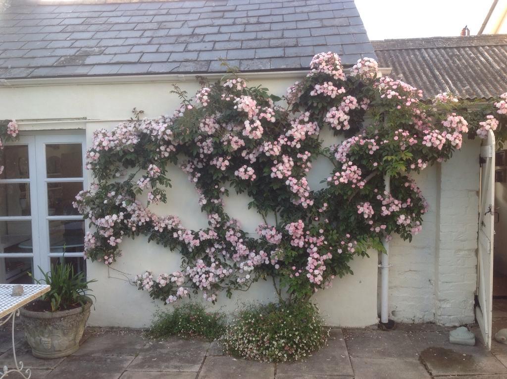 Newton Cottage Porthcawl Zewnętrze zdjęcie